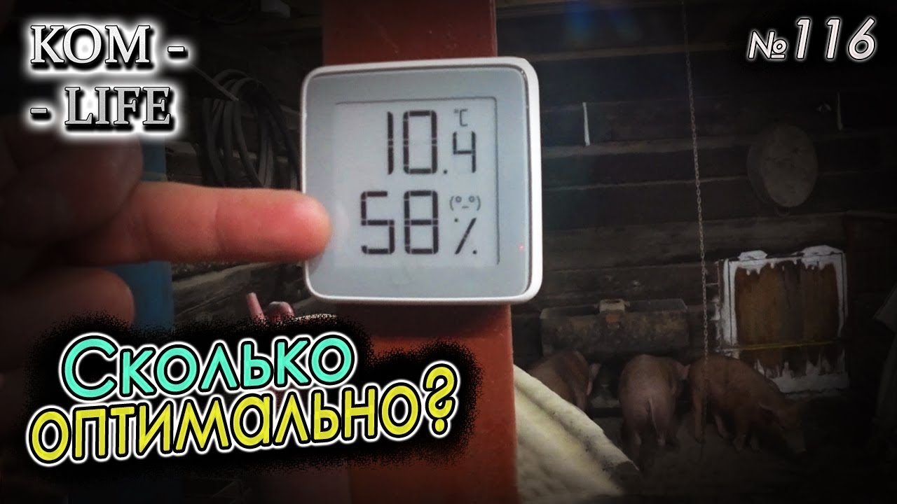 Температура и влажность 🌡 в сарае у свиней