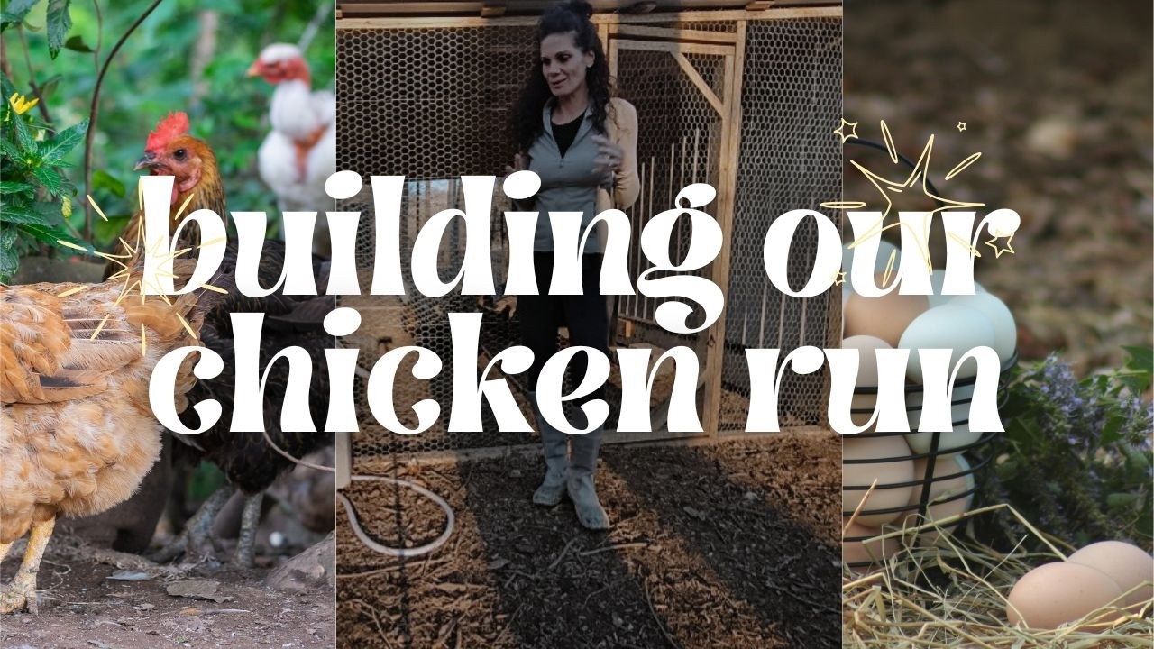 BUILDING OUR CHICKEN RUN | ONE PROJECT AT A TIME