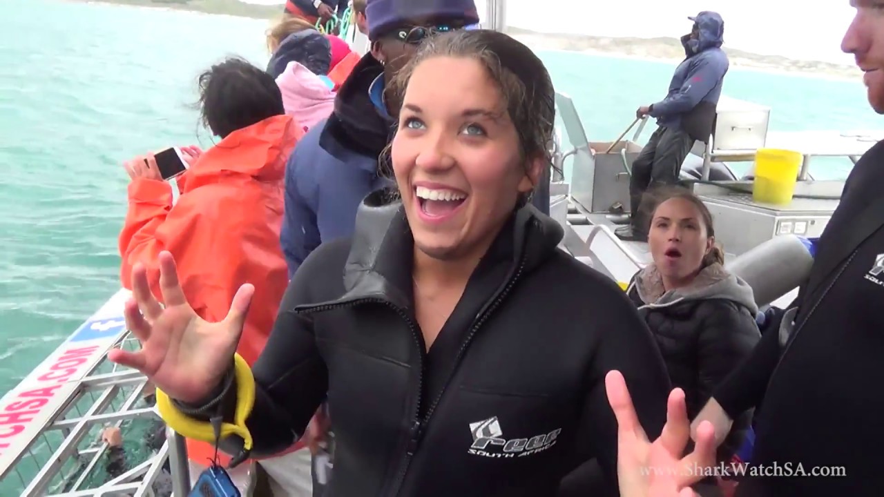 Gansbaai - Marine Dynamics Shark Cage Diving Experience
