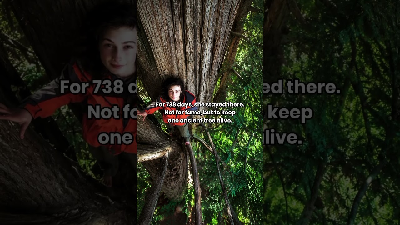 One woman. One tree. 738 days. #beyond5000