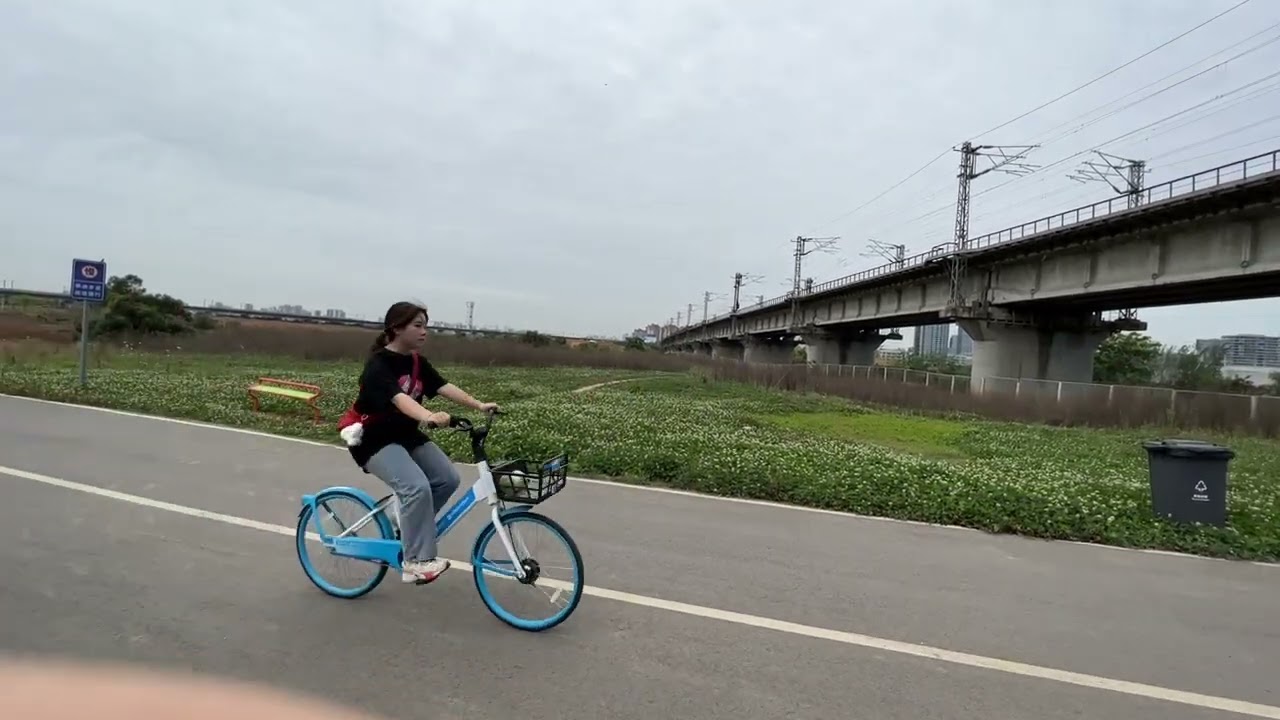成都100公里环城绿道残存的美丽景象，以及目前的退林还耕/播种/收割画面