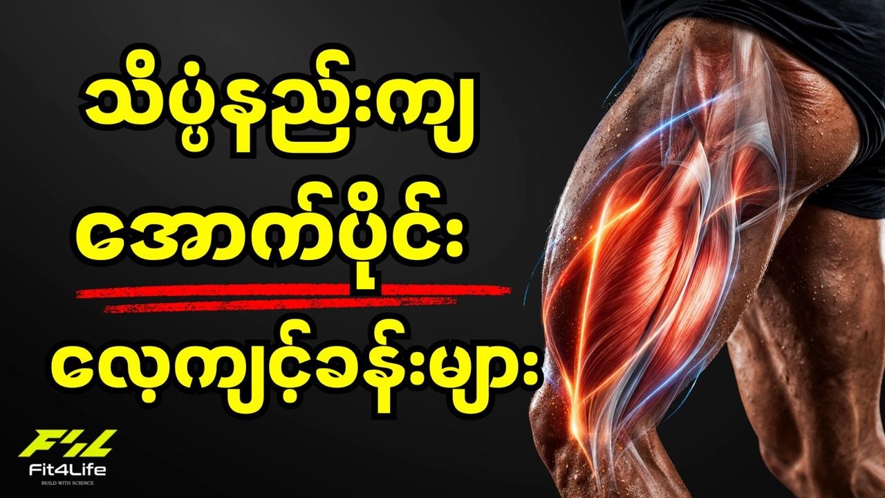 သိပ္ပံနည်းကျ အောက်ပိုင်း ကြွက်သား ကစားနည်းများ