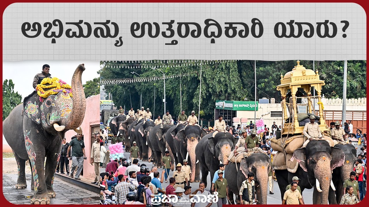 ಅಭಿಮನ್ಯು ಉತ್ತರಾಧಿಕಾರಿ ಯಾರು?   Mysuru Dasara I Elephant Abhimanyu I Jamboo Savari I Elephant Mahendra