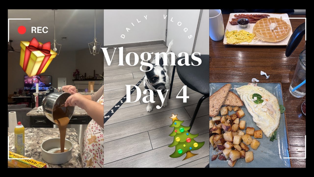Vet Visit | Vlogmas Day 4