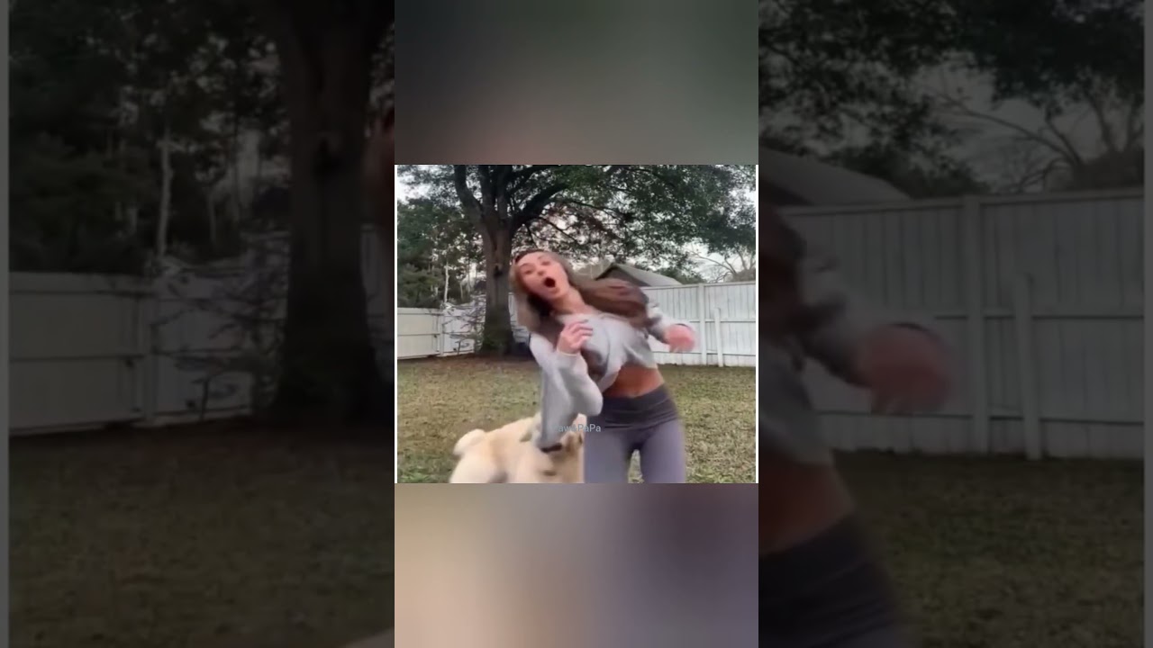 This video will make you laugh🐾🤣#viralvideo #funny #cat #dog #trending #shorts