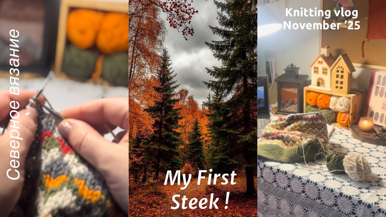 Vlog 145 | Жаккардовая жилетка со стиками | История одной вещи #вязальныйвлог #жаккард