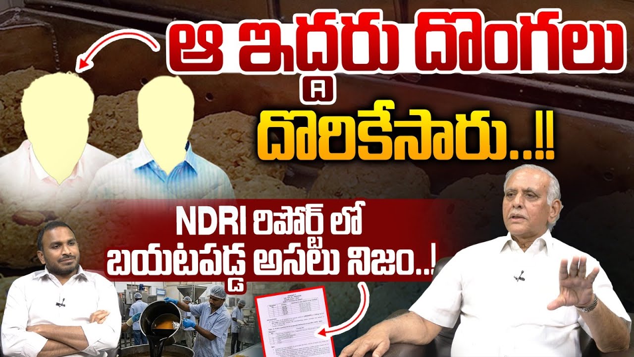 Lingamaneni Sivarama Prasad About NDDB Report On TTD Ghee : NDRI రిపోర్ట్ లో బయటపడ్డ అసలు నిజం | WWT
