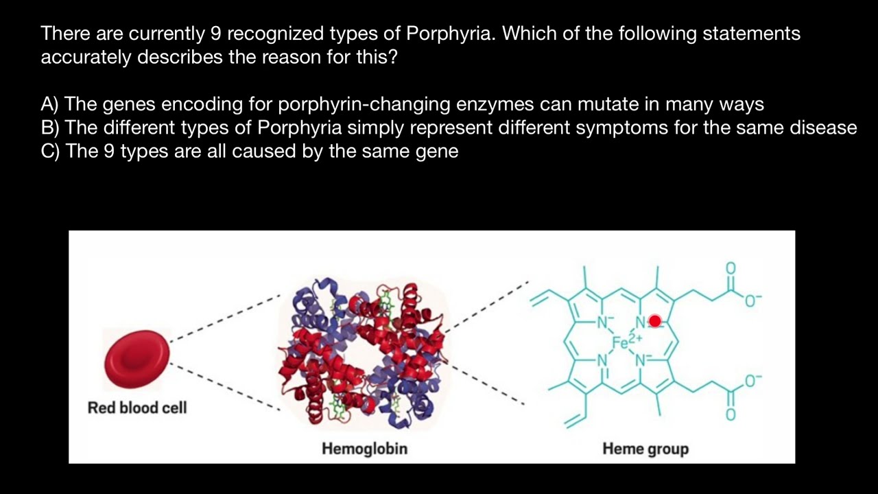 Porphyrin Ring in Hemoglobin and Chlorophyll