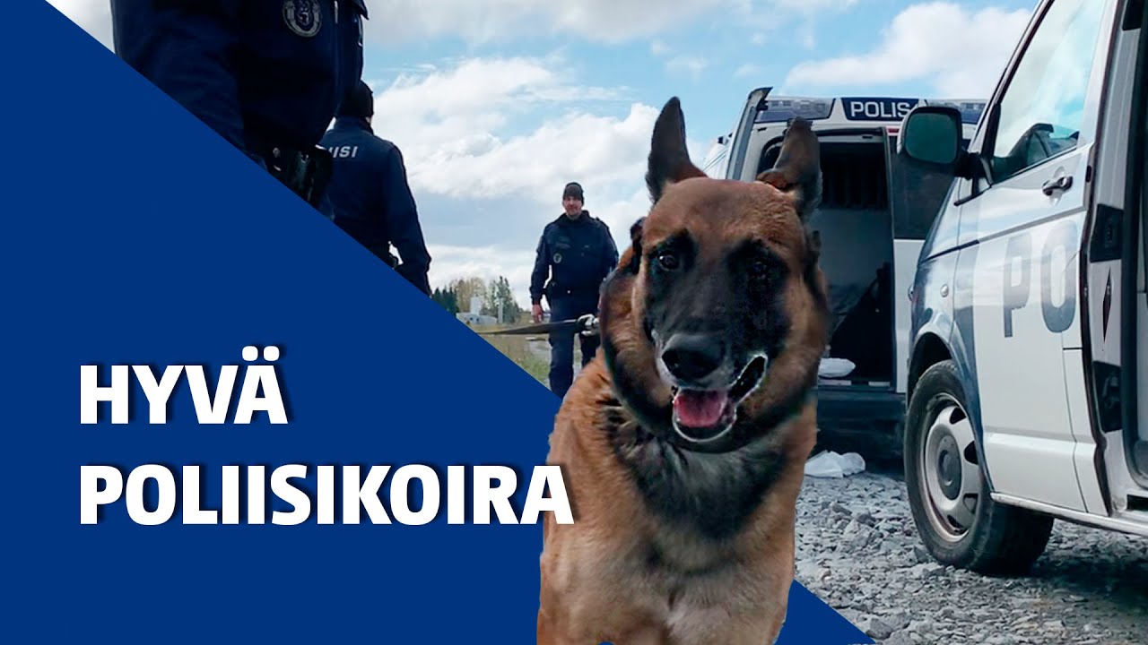 Hyvä poliisikoira