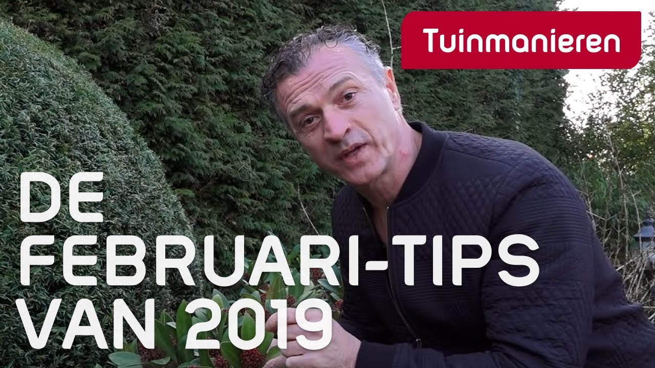 De februari-tips voor de tuin van 2019 | Winter | Tuinmanieren