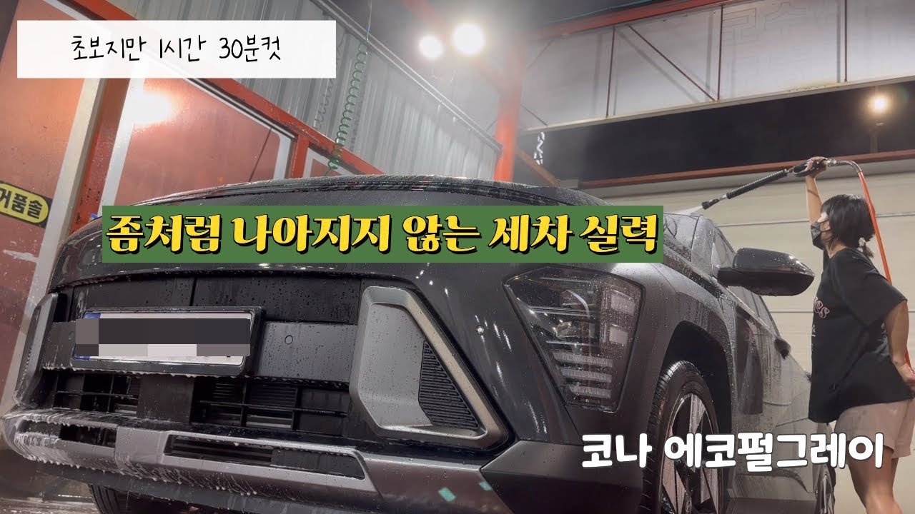셀프세차 브이로그 [디올뉴코나 에코 펄 그레이]  프로 귀찮러