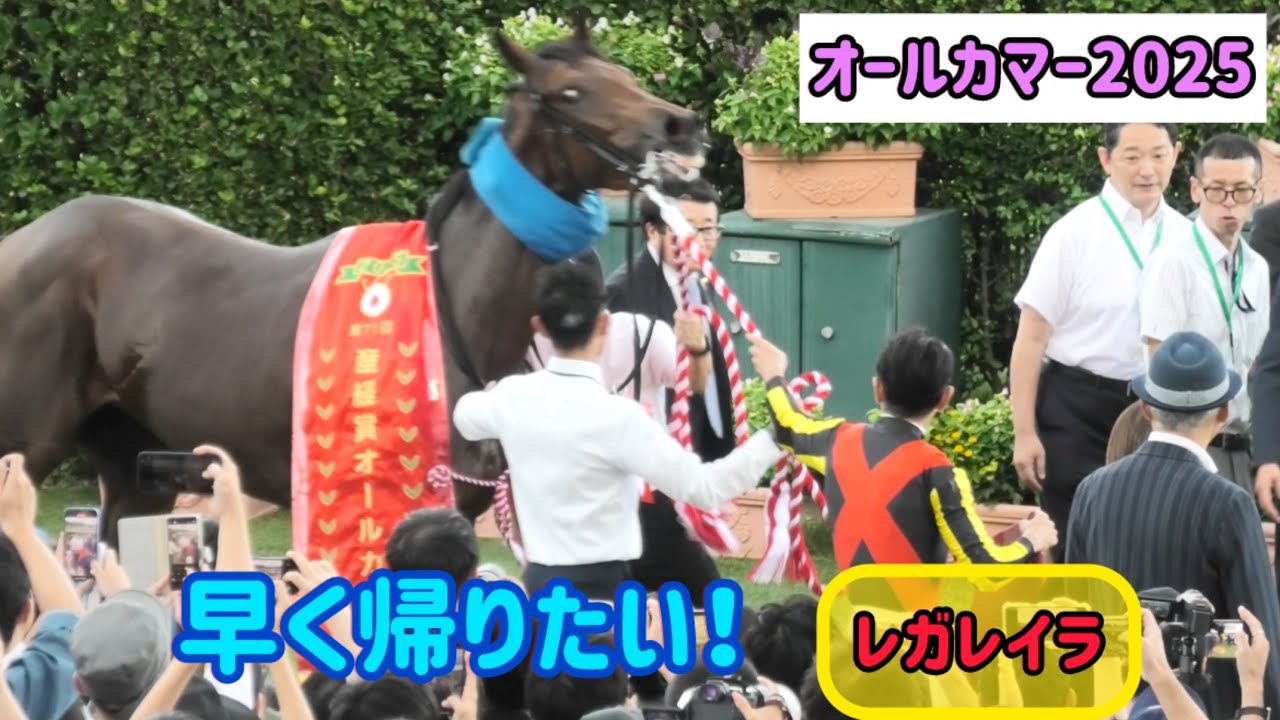 【オールカマー2025】兄に勝っちゃう中山の女レガレイラちゃんは早く帰りたい
