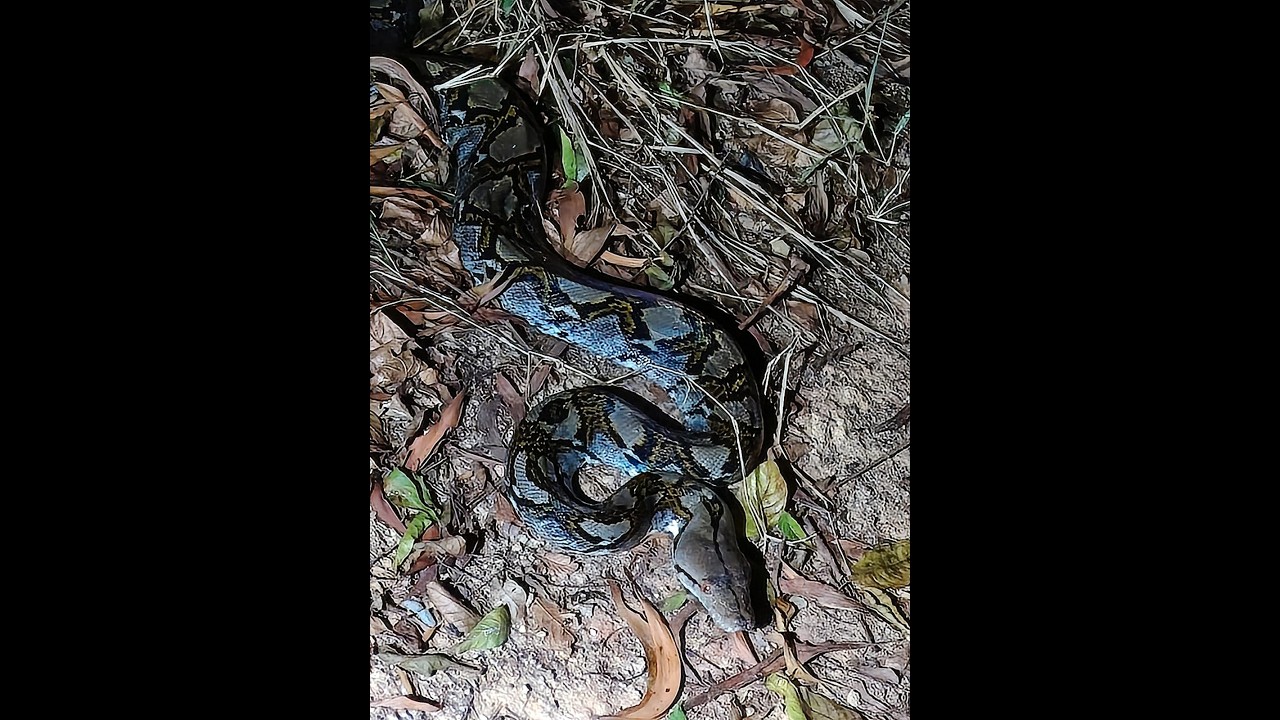 Una ka pre malinaw mata mo. we saw anaconda, Night ride at the playground.