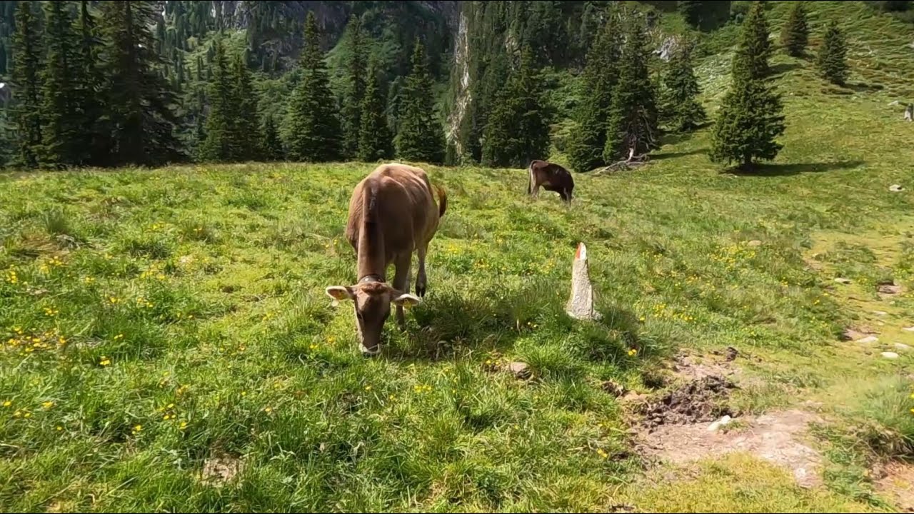 Über den Wasserfallweg zur Sommerbergalm