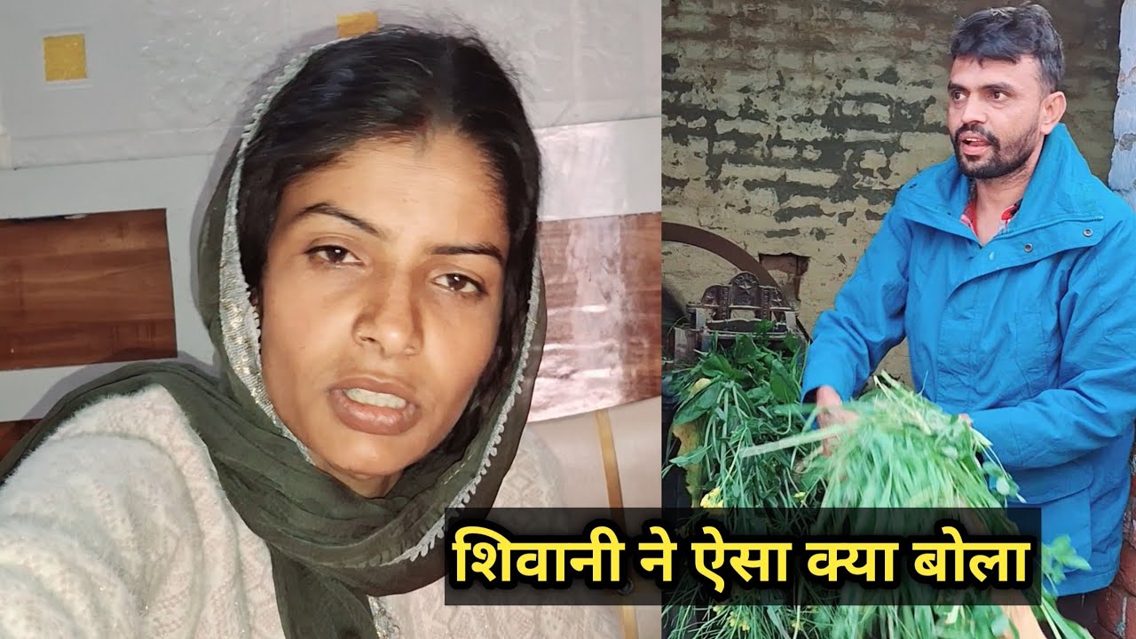 Shivani ने ऐसा क्या बोला Deepak नाराज हो गए#familyvlog #shivani 