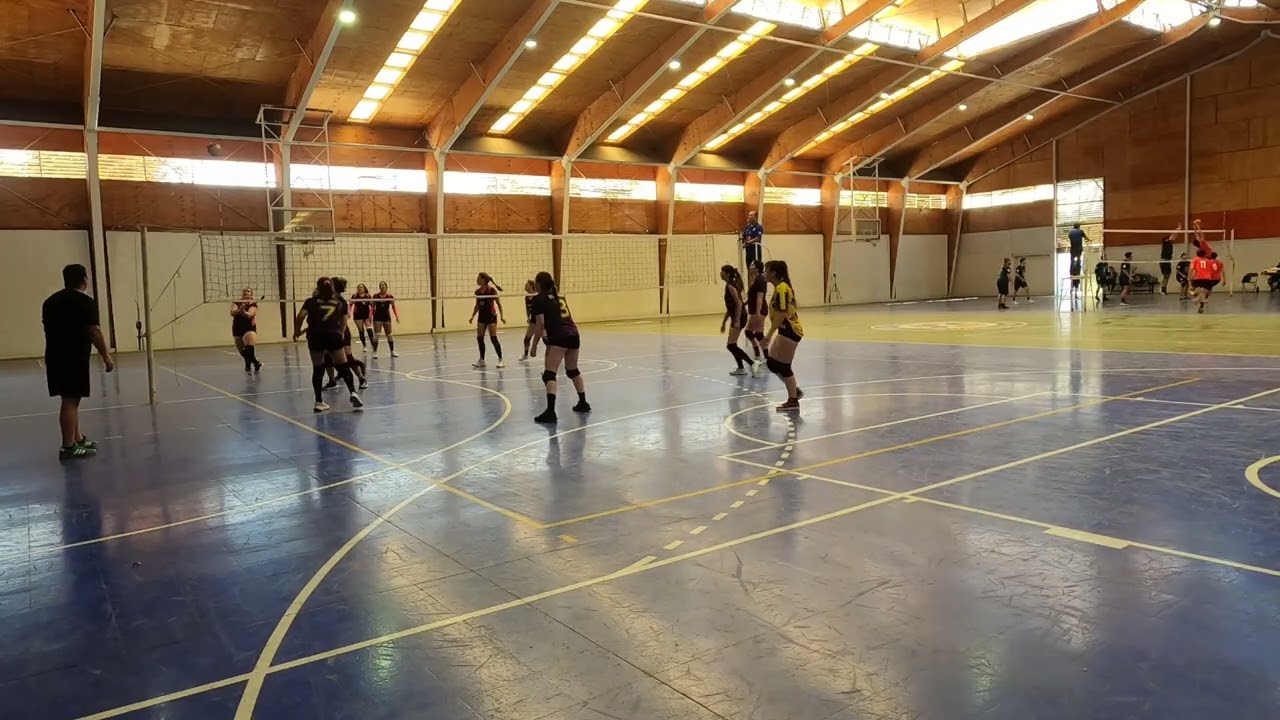 partidos