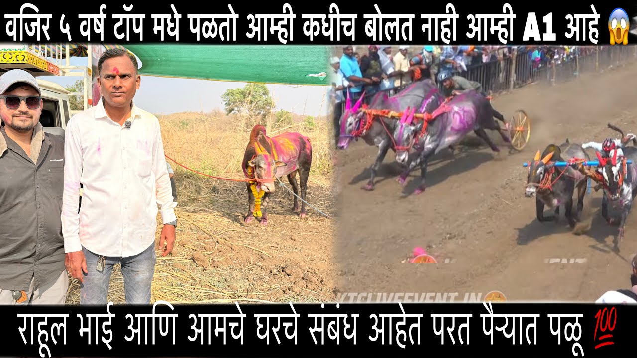 राहूल भाई आणि आमचे घरचे संबंध आहेत परत पैऱ्यात पळू 💯| ५वर्ष पळलो कधी A1 बोललो नाही 😱- पिंटूशेठ पाटील
