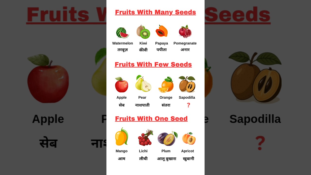 Different types Of fruits seeds #shorts  #learning #fruits #learnenglish #englishlearning