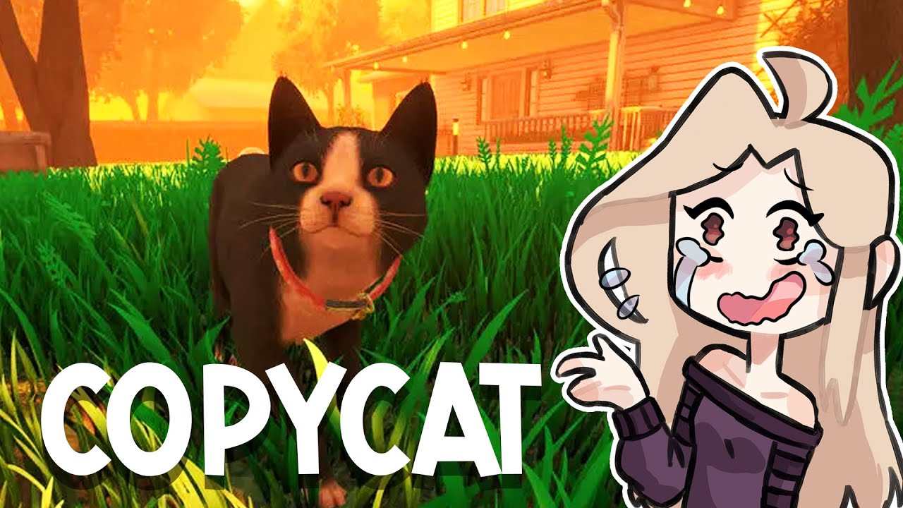 DECOUVERTE JEU: Je SUIS un petit CHAT tout MIGNON... ? COPYCAT