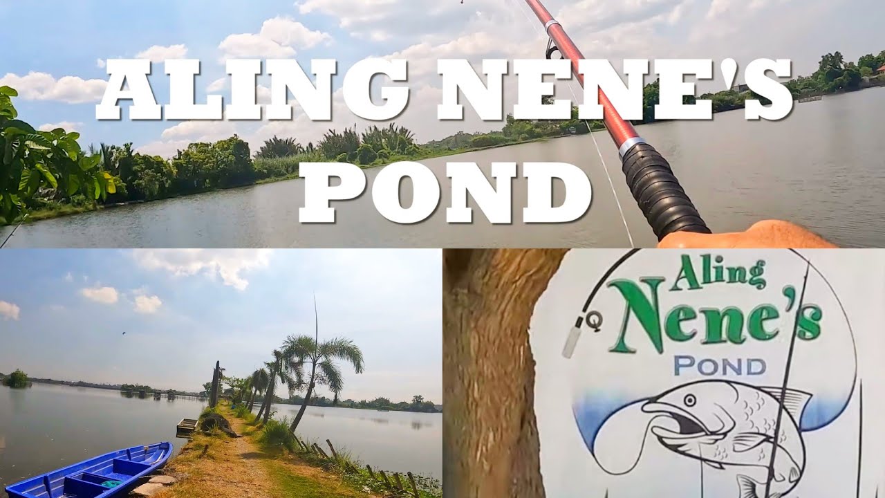 Fishing Adventure at ALING NENE'S POND Coloong 1, Valenzuela City #fishing #valenzuelacity