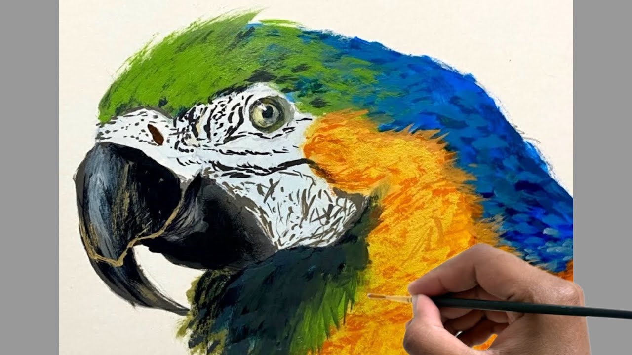 Realistic Acrylic Bird Painting | Animal Time Lapse Art | How to Paint Birds Step by Step