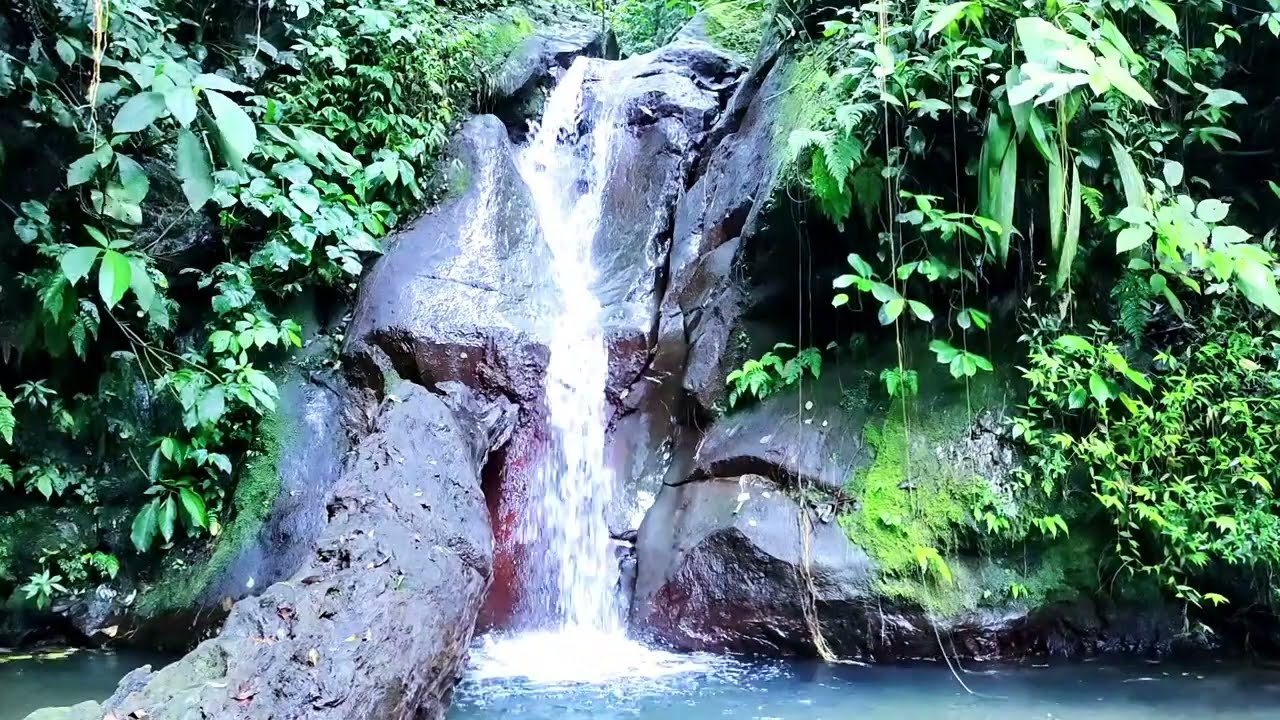 Calming Water Flow and Bird Calls GUARANTEE Better Sleep Tonight