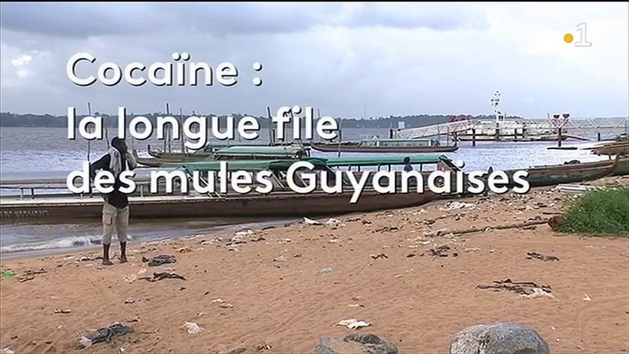 Magazine Wey Amazon :  Cocaïne : la longue file des mules guyanaises.