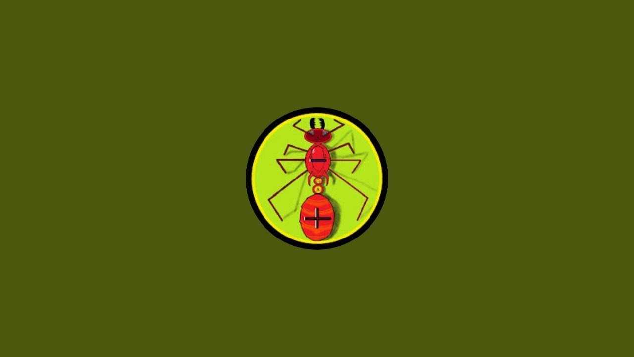 Anty Matters is live