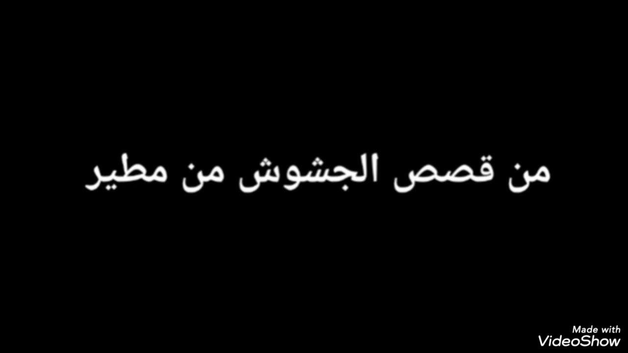 من قصص الجشوش من مطير 
