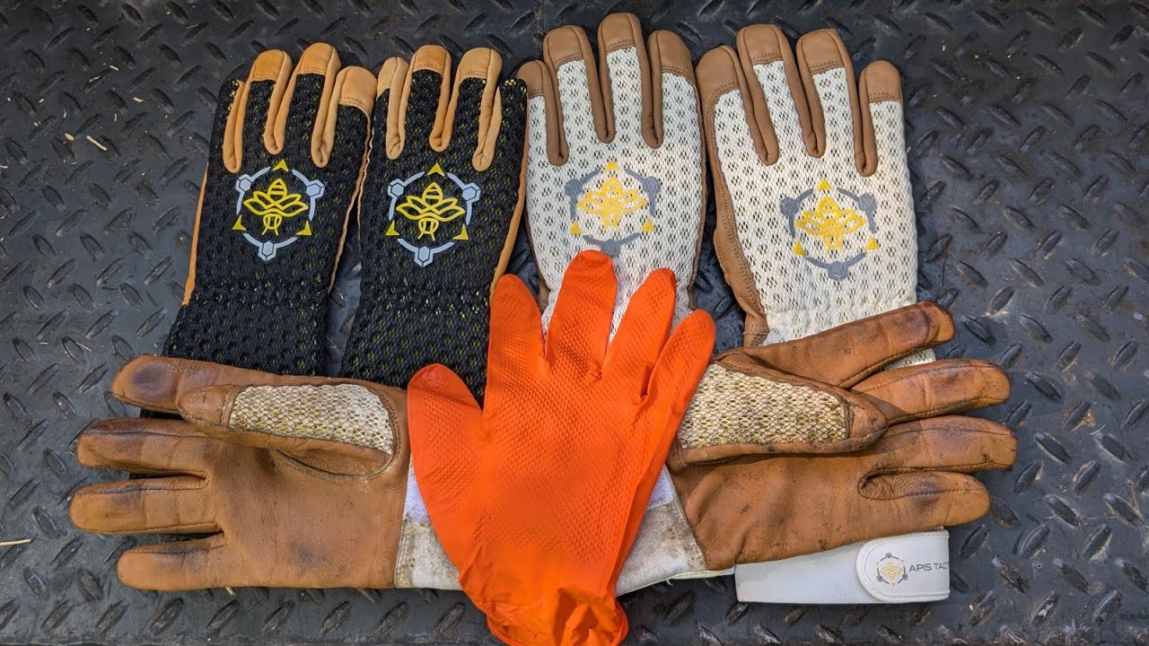 Apis Tactical Glove Review