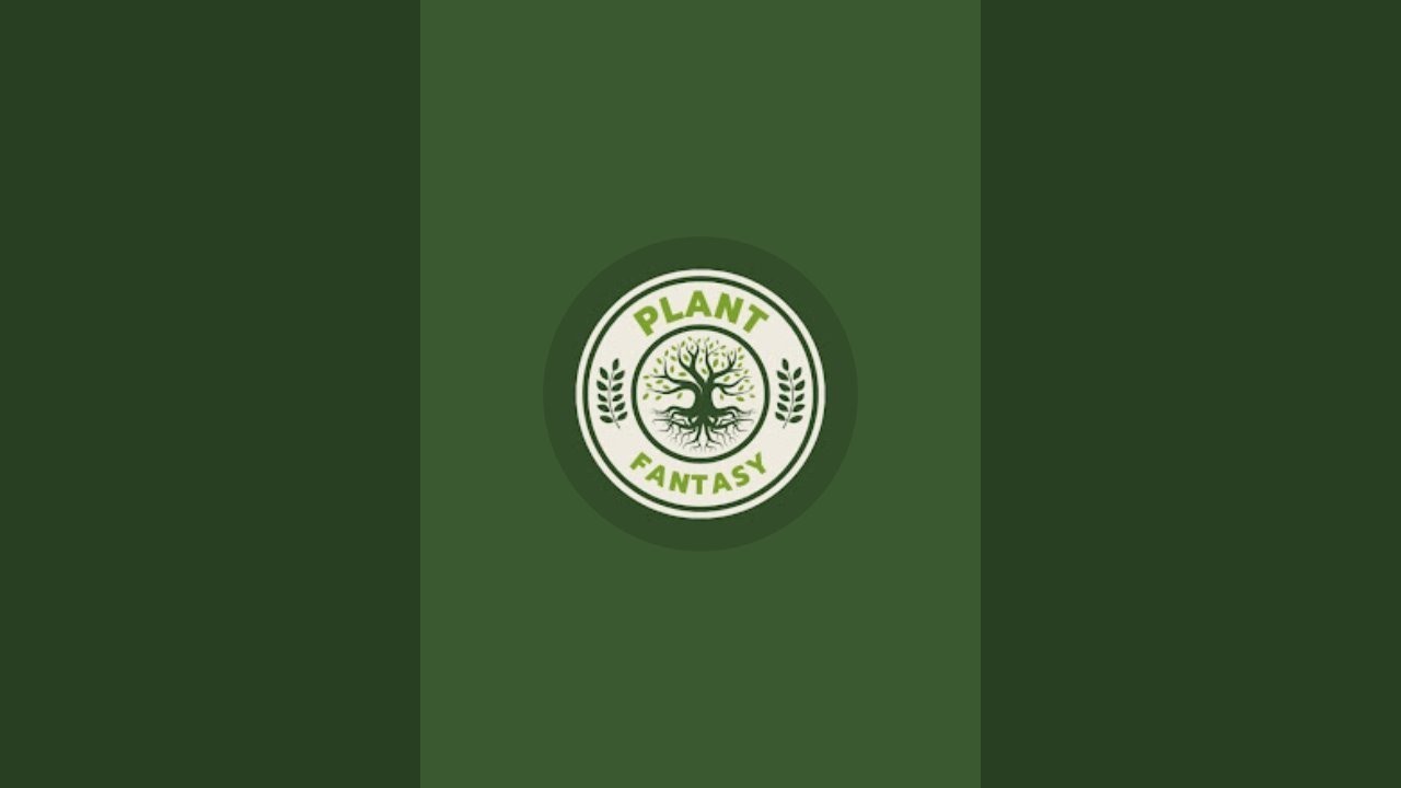 Plant Fantasy 🌱 is live
