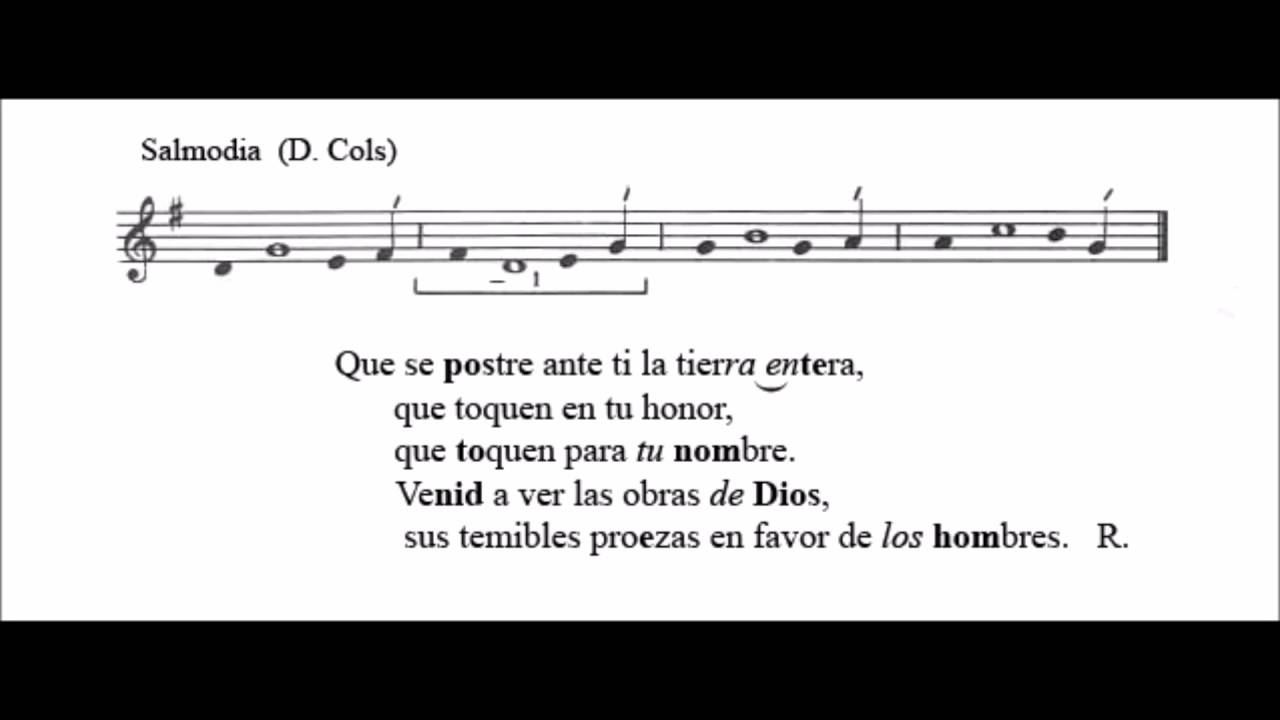 Salmo XIV del Tiempo Ordinario Ciclo C