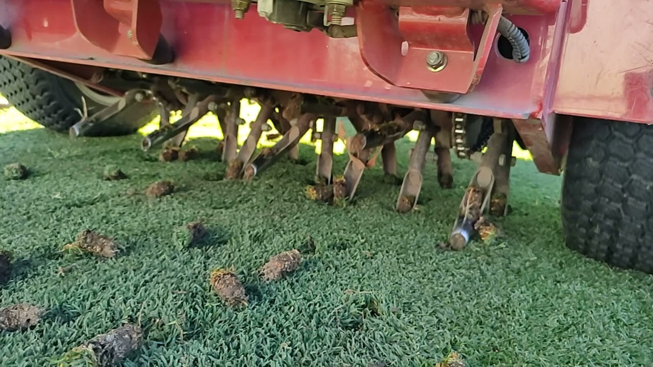Toro 30