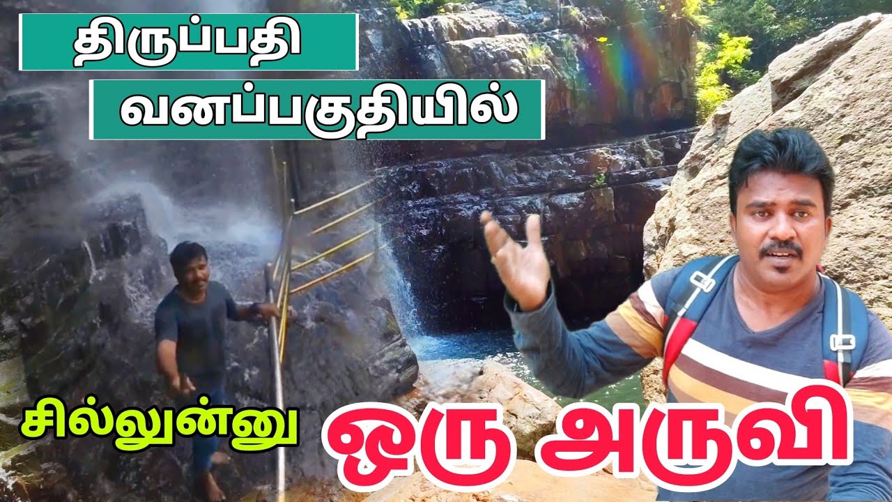 Talakona Waterfall ★திருப்பதி அருகில் ★270அடி உயர அருவி - Talakona In Tamil