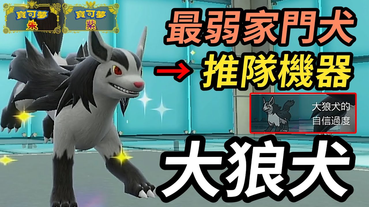 【寶可夢朱紫】最弱家門犬也能化身推隊機器！ 神特性一旦啟動就無人能擋 大狼犬 #寶可夢 #寶可夢朱紫 #碧之假面  #寶可夢對戰系列 #136