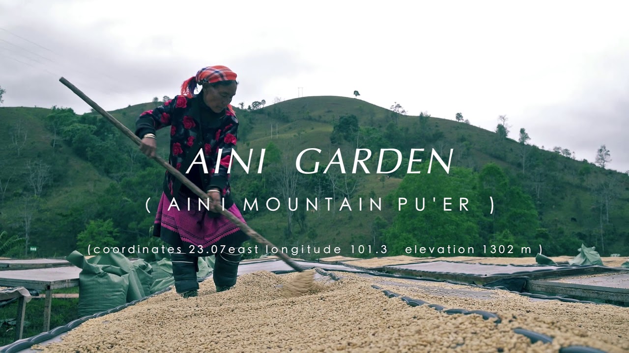 Behind A Coffee Bean - Yunnan Coffee Tour(Full Version) 咖豆尋蹤——雲南咖啡之旅(完整版)