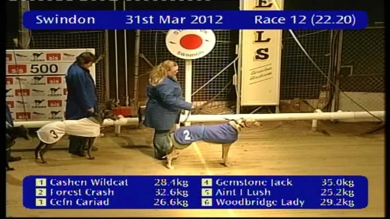 Gemstone Jack 31-03-12 Trap 4