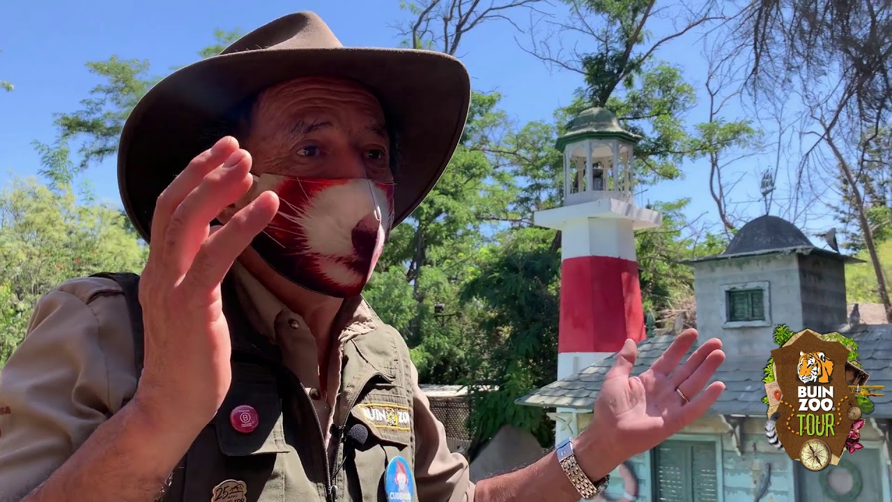 Buin Zoo Tour (Capítulo 6)