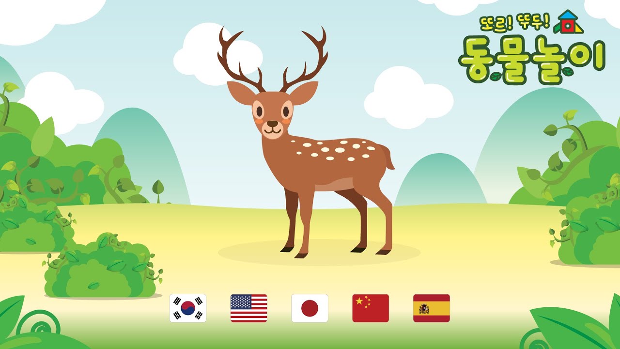 동물놀이 : 사슴(한글, 영어, 일어, 중국어, 스페인어) / Animal Study : deer(Korean, English, Japanese, Chinese, Spanish)