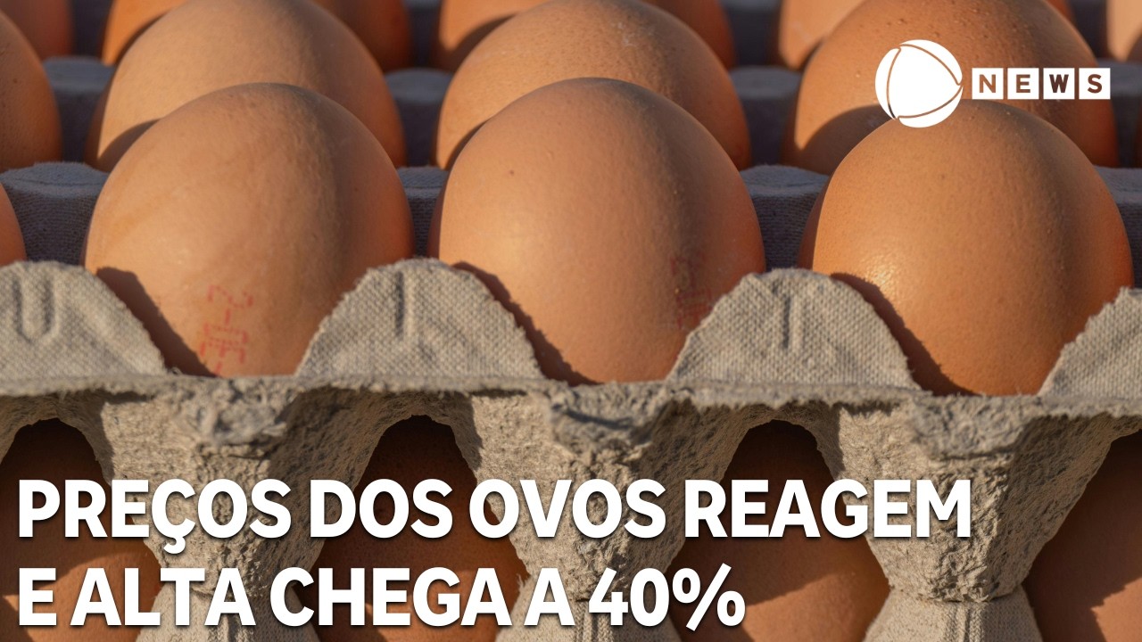 Pre&ccedil;os dos ovos reagem e alta chega a 40%