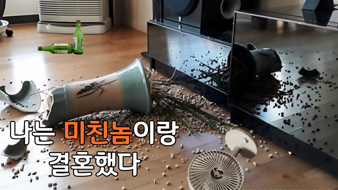 50대 싱글 라이프의 결혼과 이혼 이야기/나는 미친놈이랑 결혼했다