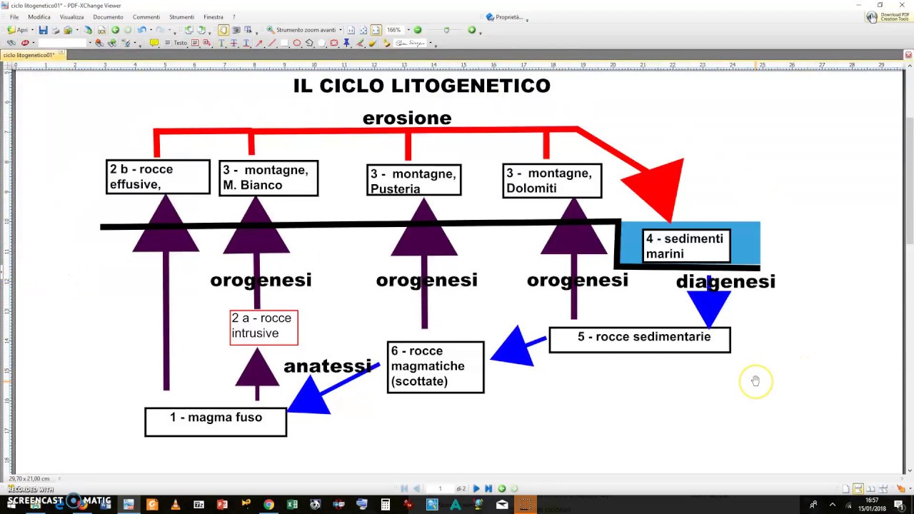 ciclo litogenetico