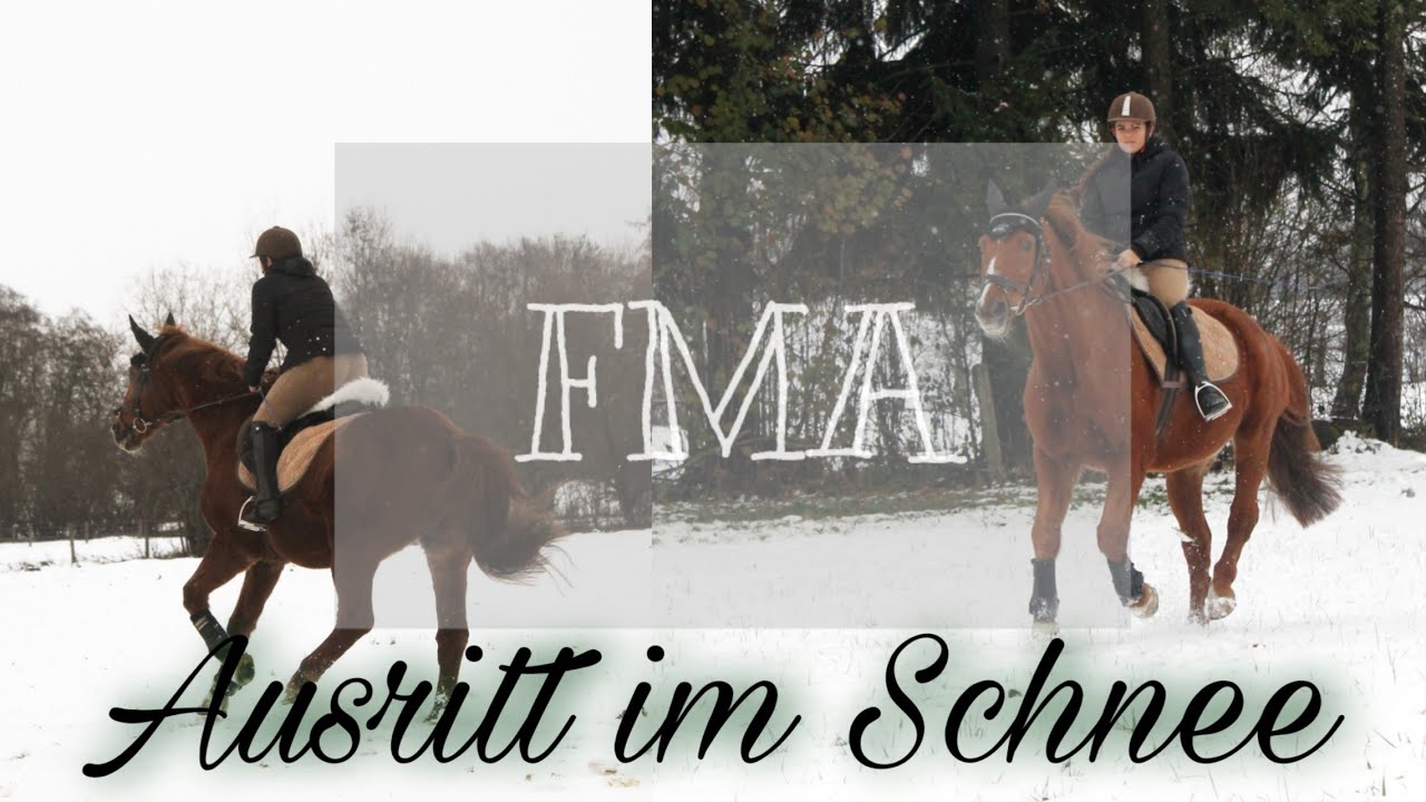 FMA Ausritt im Schnee ❄️☄️ || M&G HorseDiary