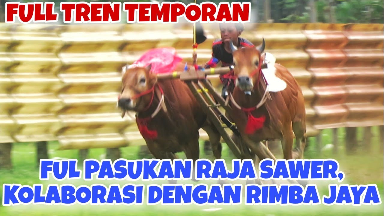 KOLABORASI RAJA SAWER DENGAN RIMBA JAYA SPEED MEWAH || PERSIAPAN LAGA EVENT GAGAK RIMANG 🔥🔥