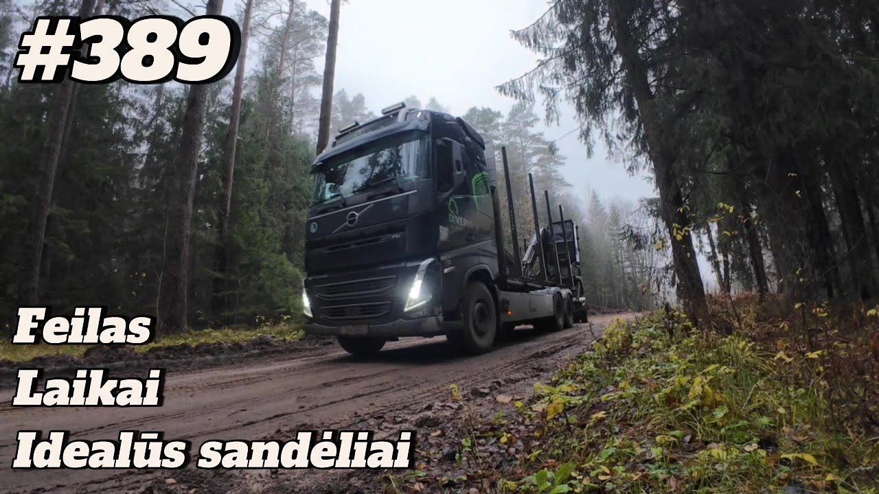 #389 Feilas. Laikai. Idealūs sandėliai.