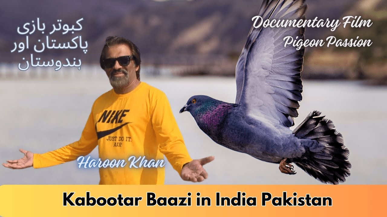 Kabootar Bazi Secrets EXPOSED in India and Pakistan
