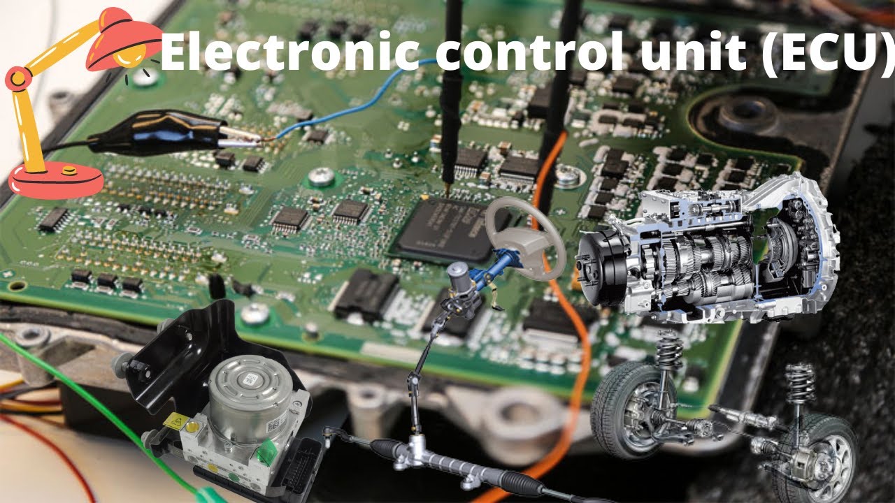 what is An electronic control unit  and What is the different type of ECU?(ECM, PCM, BCM, TCM, &hellip;)
