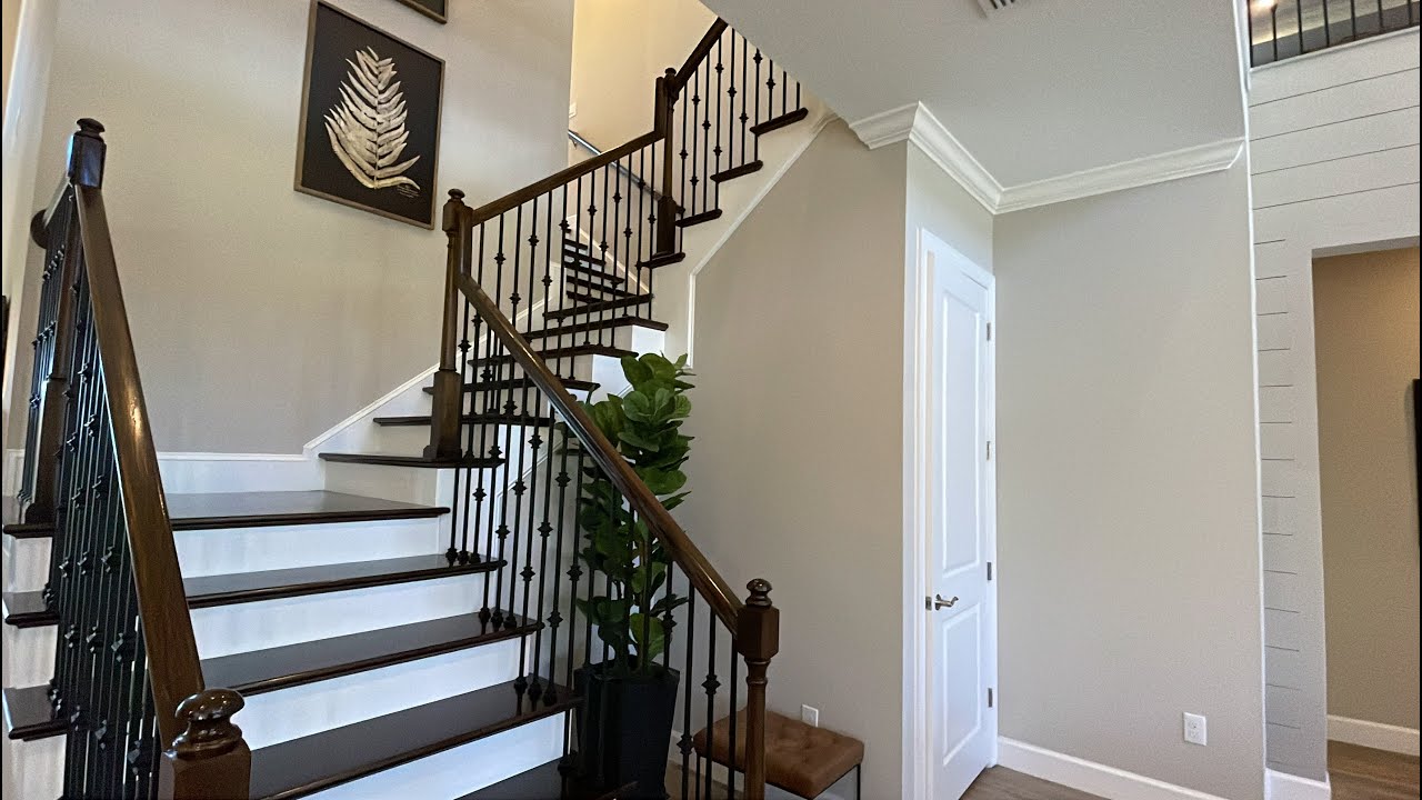 BEAUTIFUL Luxury Home Quick Tour | Taylor Morrison | Acadia | Wesley Chapel FL