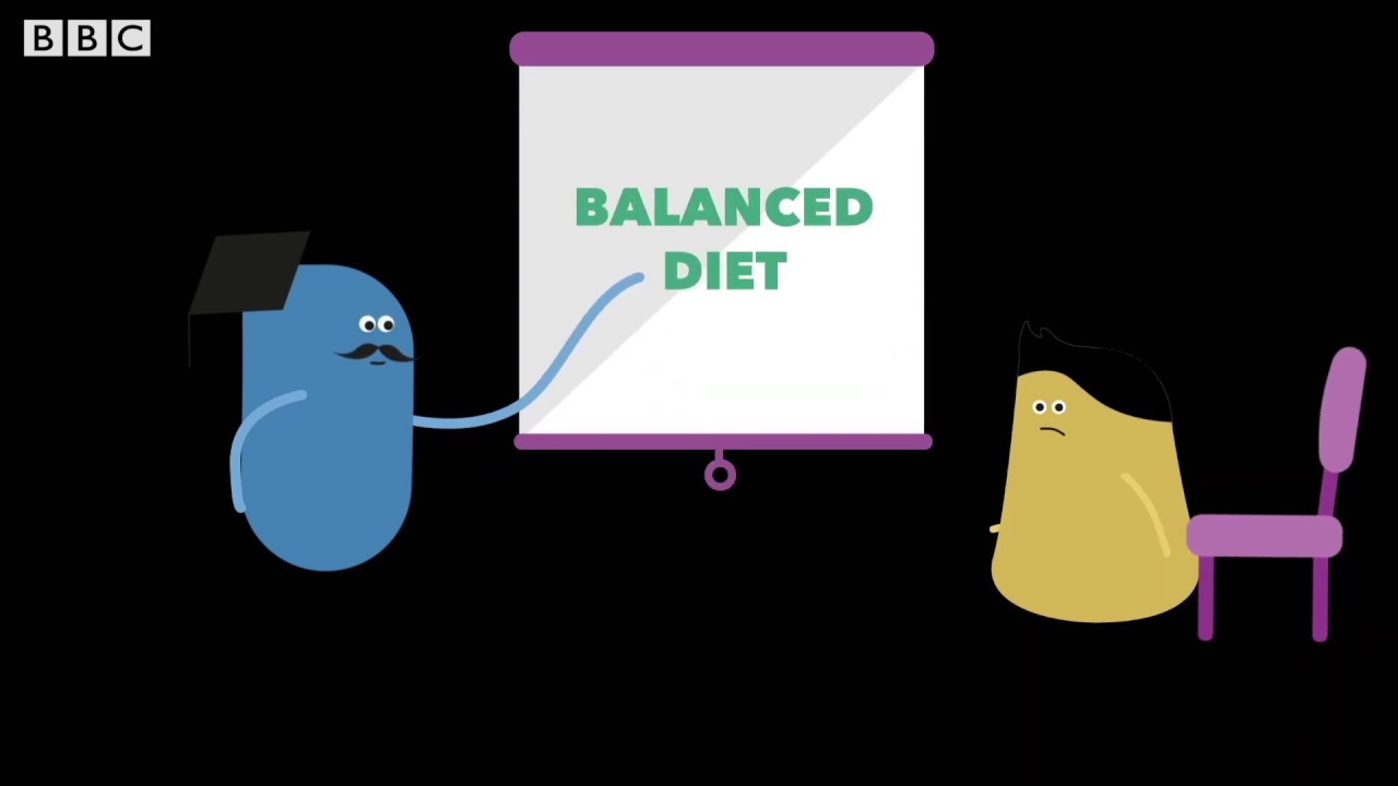 What is a healthy lifestyle? &ndash;&nbsp;BBC Bitesize Key Stage 3 Learning for Life and Work