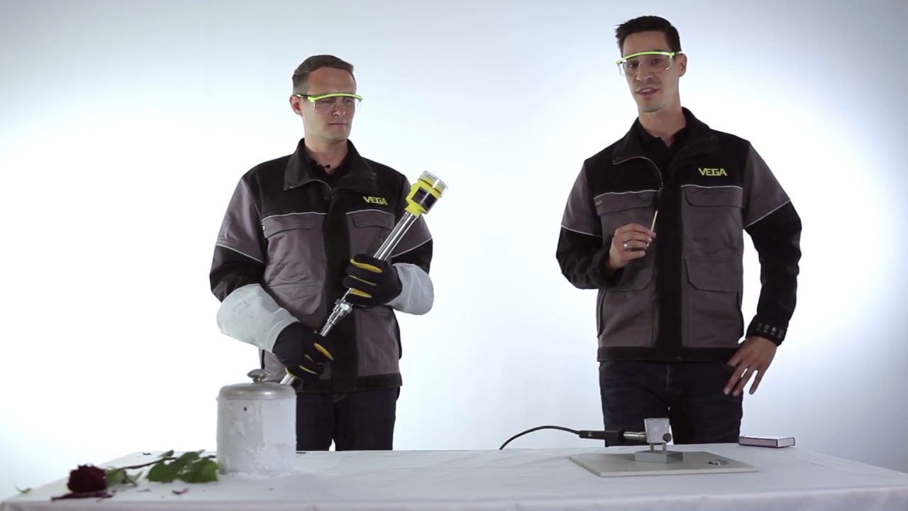 Level switch for extreme process conditions | VEGASWING 66
